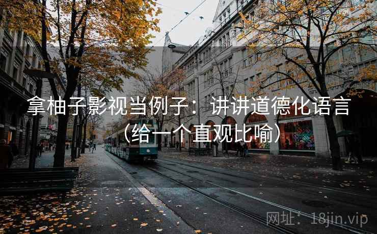 拿柚子影视当例子：讲讲道德化语言（给一个直观比喻）